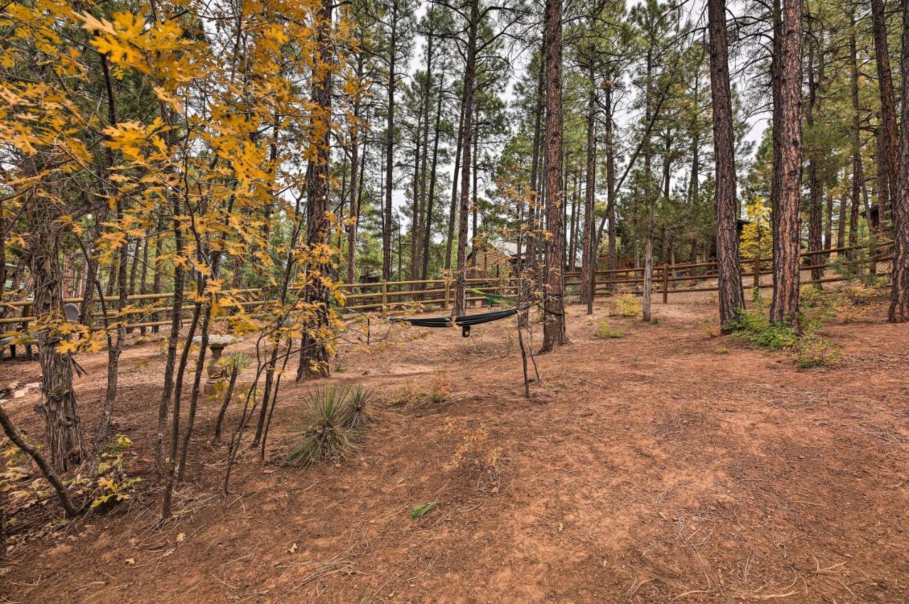 Pet-Friendly Show Low Cabin With Trail Access! Exterior photo
